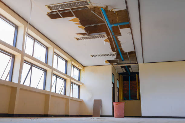Best Water damage restoration near me  in Tavares, FL