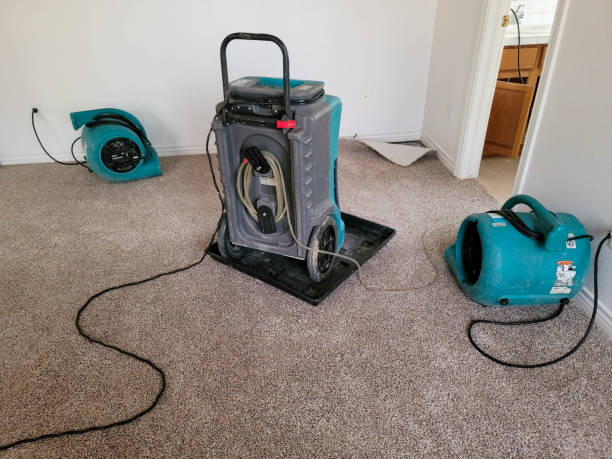 Best Professional water damage repair  in Tavares, FL
