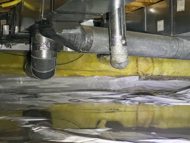 Best Water damage cleanup near me  in Tavares, FL