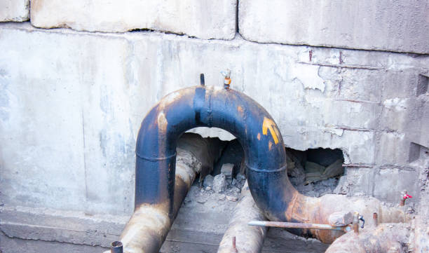Best Sewage cleanup and water damage restoration  in Tavares, FL