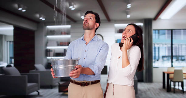 Best Water damage restoration cost  in Tavares, FL